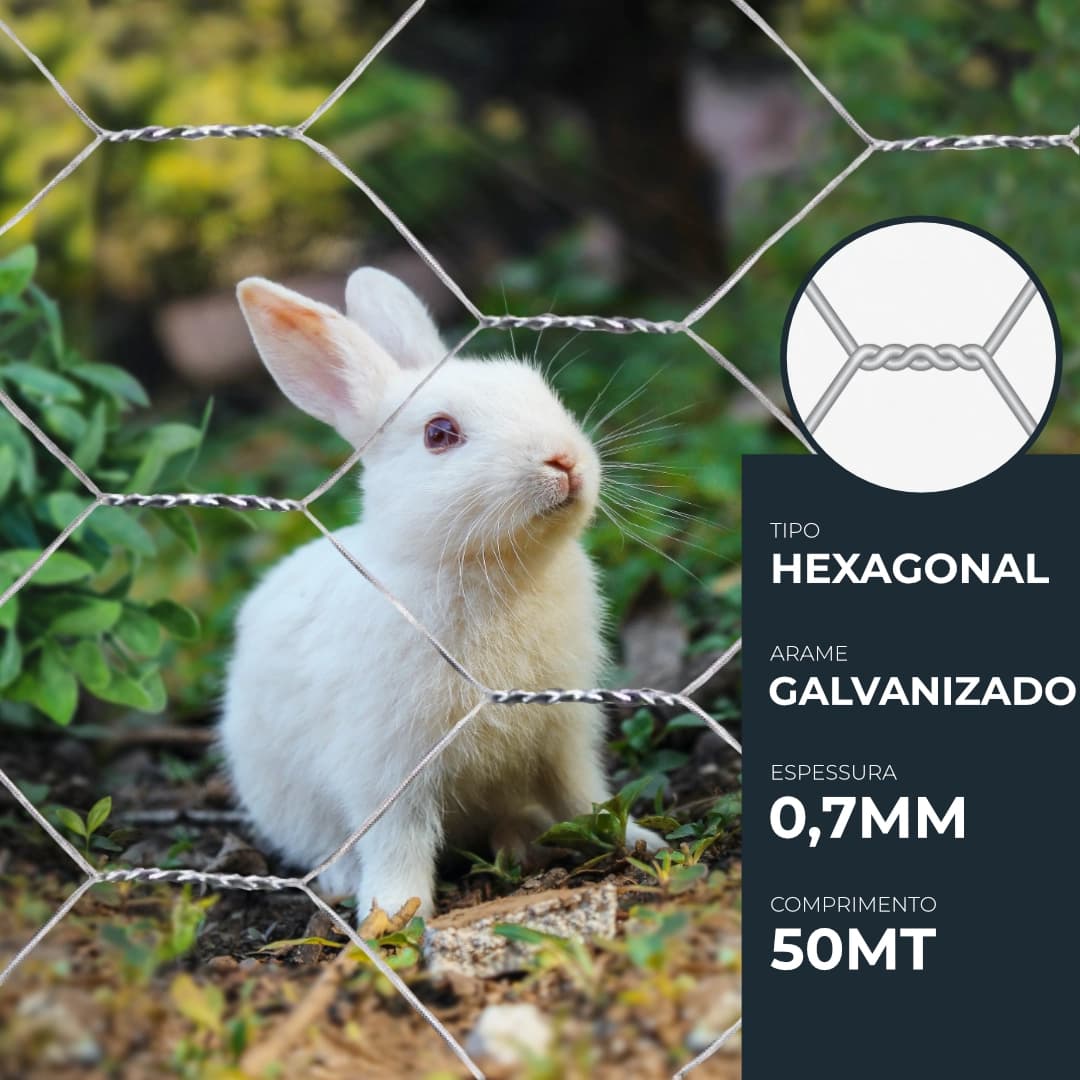 Rede Hexagonal