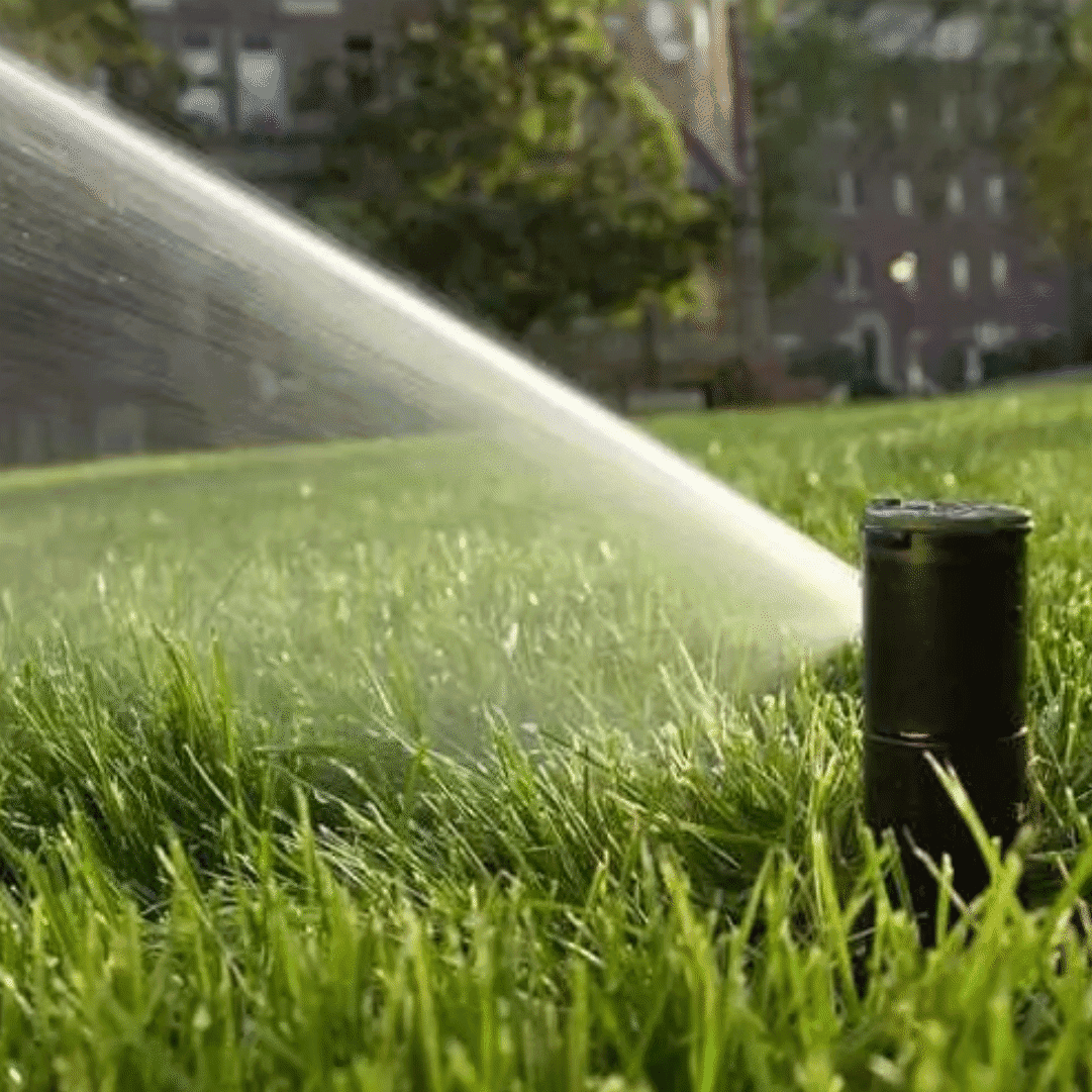 Aspersor de Jardim RainBird 5004 3/4 "