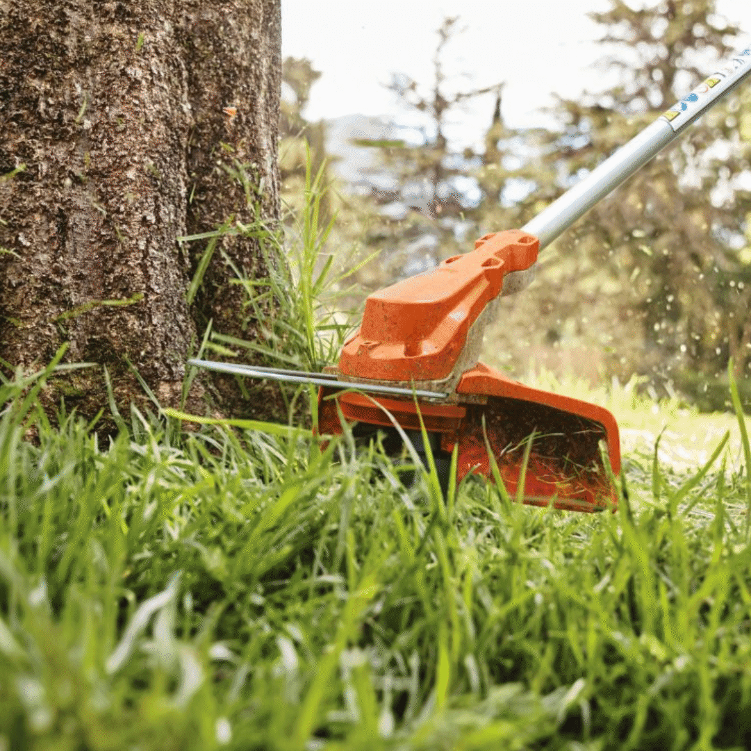 Aparador Relva Stihl FSA 60 R c/ Fio AutoCut C 6-2 + Bateria AK 20 4.0Ah + Carregador