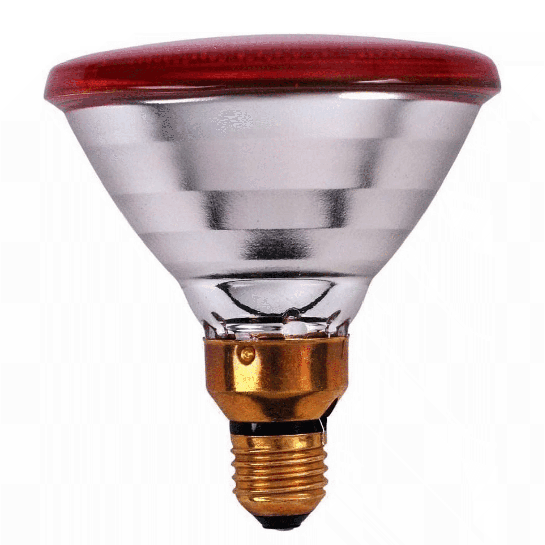 Lâmpada de Aquecimento p/ Animais 100W
