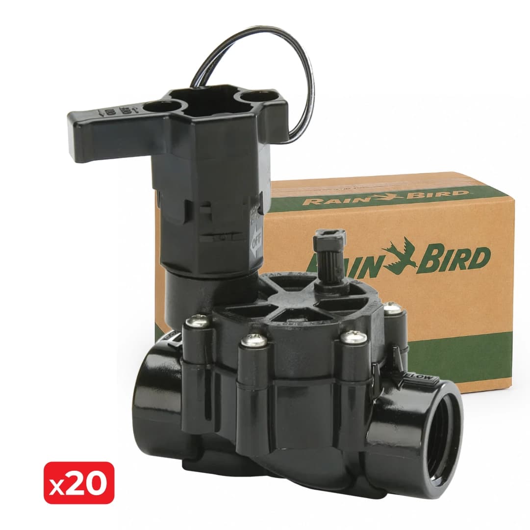 Eletroválvula Rainbird 100 DV 24V 1" - 20UNI